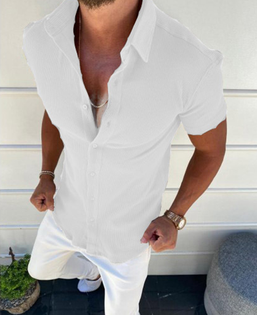 Casual Plain Lapel Collar Short Sleeve Single Breasted Shirt